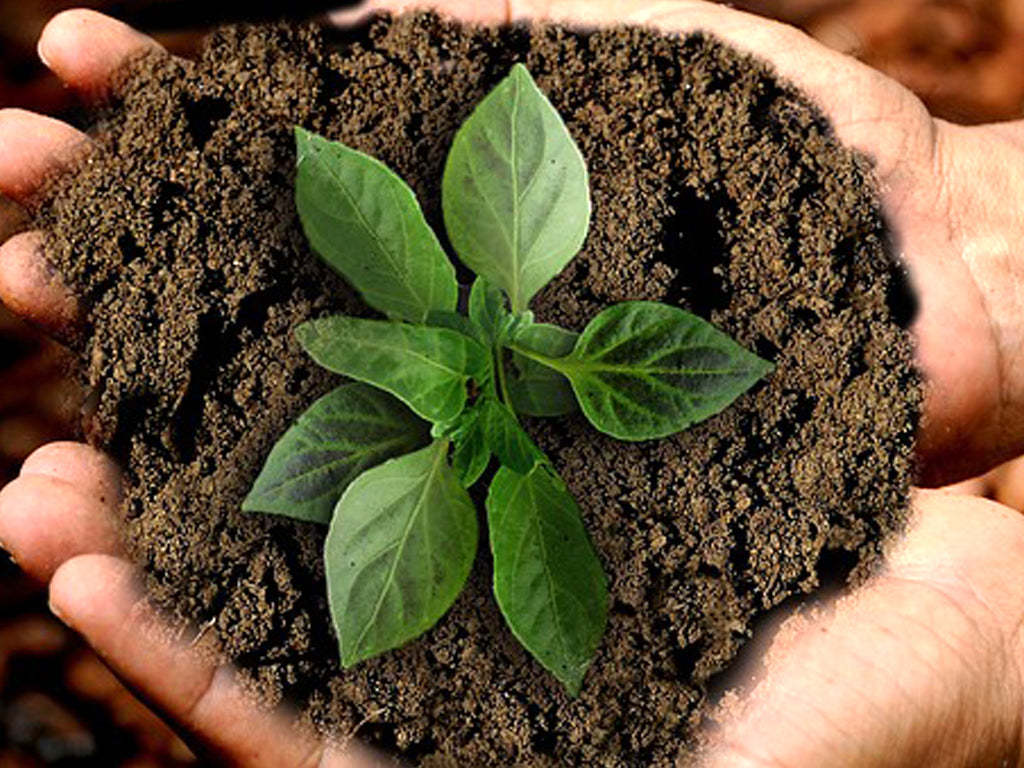 Perchè il conto terzi è crescita e innovazione